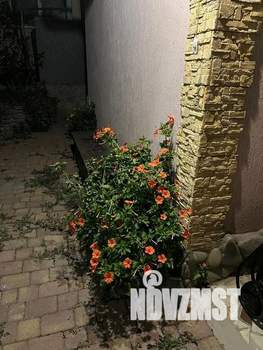 Дом 40м², 1-этажный, посуточно,