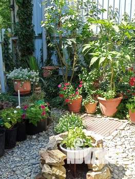 Дом 48м², 2-этажный, посуточно,