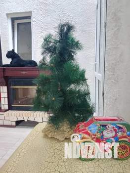 Дом 80м², 2-этажный, посуточно,