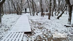 Дом 36м², 1-этажный, участок 12 сот.