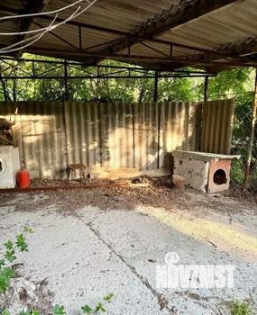 Дом 43м², 1-этажный, участок 6 сот.