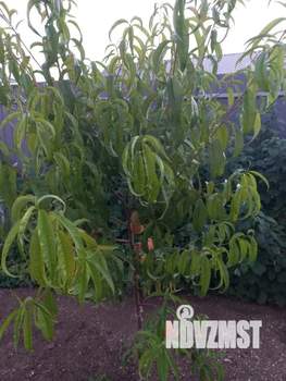 Дом 77м², 2-этажный, участок 6 сот.