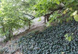 Дом 42м², 1-этажный, участок 6 сот.