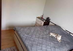 Дом 185м², 2-этажный, участок 8 сот.