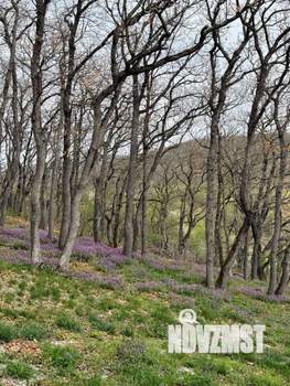 Дом 36м², 1-этажный, участок 12 сот.