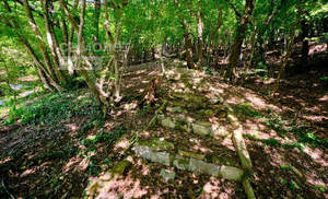 Дом 60м², 1-этажный, участок 10 сот.