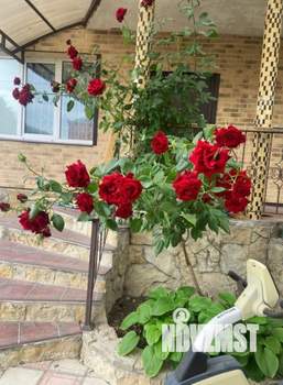 Дом 130м², 2-этажный, участок 15 сот.