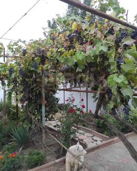 Дом 416м², 2-этажный, участок 6 сот.