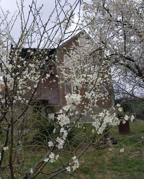 Дом 120м², 2-этажный, участок 5 сот.