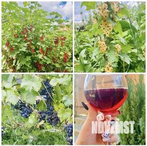 Дом 101м², 2-этажный, участок 4 сот.