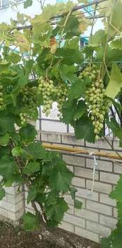 Дом 185м², 2-этажный, участок 8 сот.