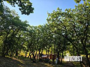 Дом 36м², 1-этажный, участок 12 сот.