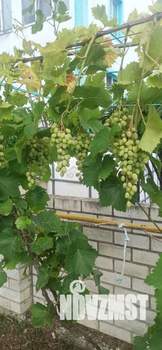 Дом 185м², 2-этажный, участок 8 сот.