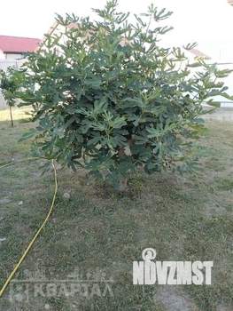 Дом 90м², 2-этажный, участок 5 сот.