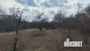 Дом 50м², 1-этажный, участок 22 сот.