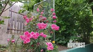 Дом 106м², 1-этажный, участок 4 сот.