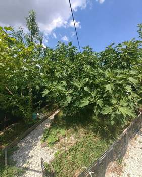 Дом 124м², 2-этажный, участок 10 сот.