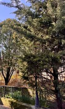 Дом 100м², 2-этажный, участок 4 сот.