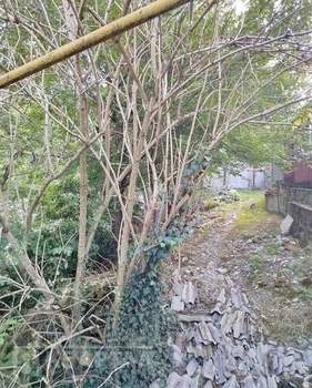 Дом 23м², 2-этажный, участок 3 сот.