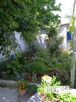 Дом 55м², 1-этажный, участок 5 сот.