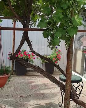 Дом 416м², 2-этажный, участок 6 сот.