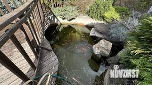 Дом 222м², 1-этажный, участок 17 сот.