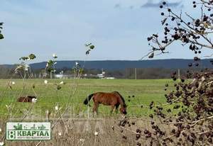 Дом 130м², 1-этажный, участок 10 сот.