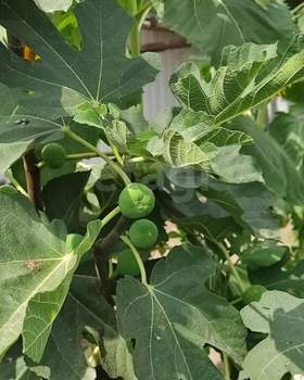 Дом 416м², 2-этажный, участок 6 сот.