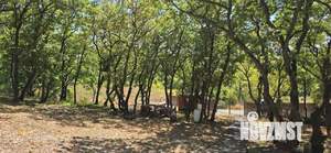 Дом 36м², 1-этажный, участок 12 сот.