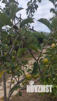 Дом 80м², 1-этажный, участок 7 сот.