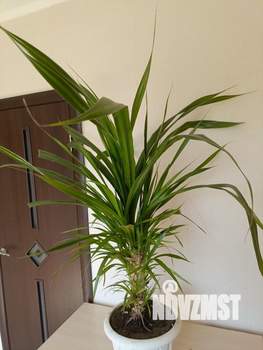 Дом 20м&sup2;, 1-этажный, на длительный срок, 