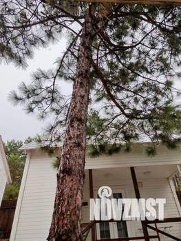 Дом 30м&sup2;, 1-этажный, посуточно, 