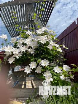 Дом 70м&sup2;, 1-этажный, посуточно, 