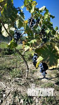 Дом 60м², 2-этажный, на длительный срок, 