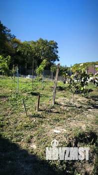 Дом 60м², 2-этажный, на длительный срок, 