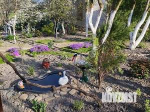 Дом 170м&sup2;, 3-этажный, посуточно, 