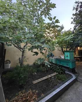 Дом 187м², 2-этажный, участок 3 сот.  