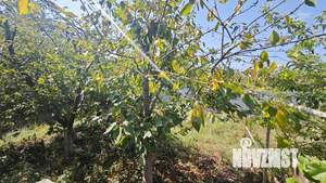 Дом 83м&sup2;, 1-этажный, участок 5 сот.  