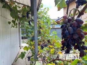 Дом 103м&sup2;, 1-этажный, участок 6 сот.  