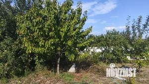 Дом 130м², 2-этажный, участок 9 сот.  