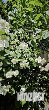 Дом 115м&sup2;, 3-этажный, участок 8 сот.  