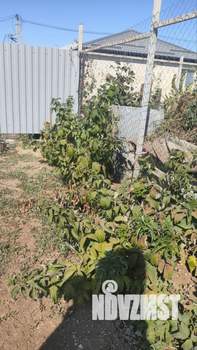 Дом 127м&sup2;, 2-этажный, участок 6 сот.  