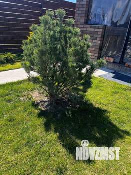 Дом 152м&sup2;, 1-этажный, участок 10 сот.  