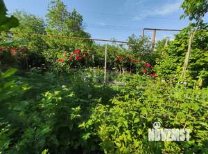 Дом 45м&sup2;, 1-этажный, участок 3 сот.  