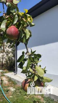 Дом 100м², 1-этажный, участок 4 сот.  