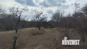 Дом 50м&sup2;, 1-этажный, участок 22 сот.  