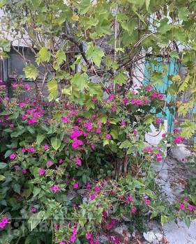 Дом 94м², 2-этажный, участок 3 сот.  