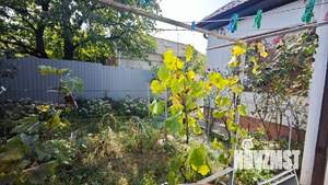 Дом 83м&sup2;, 1-этажный, участок 5 сот.  