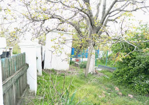 Дом 37м², 1-этажный, участок 3 сот.  