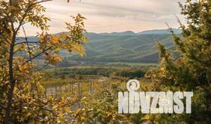 Коттедж 310м&sup2;, 2-этажный, участок 6 сот.  